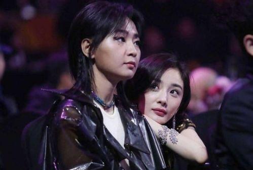 娱乐圈九条爆料最新情况,最新动态揭秘，明星隐私再掀波澜  第1张